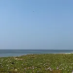 Coco Inn Goa