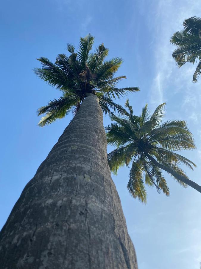 Villa Coco Goa