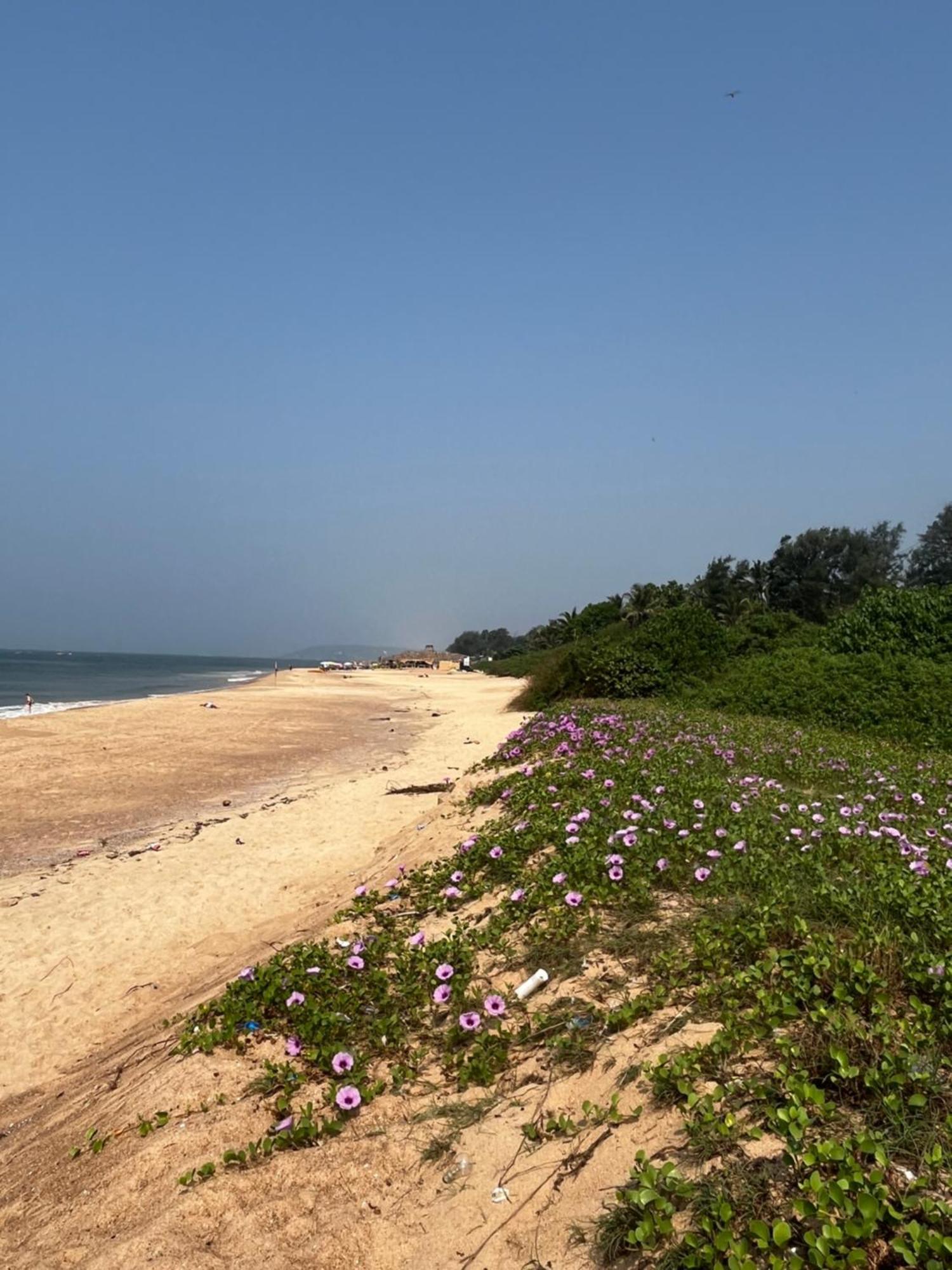 Villa Coco Goa Candolim