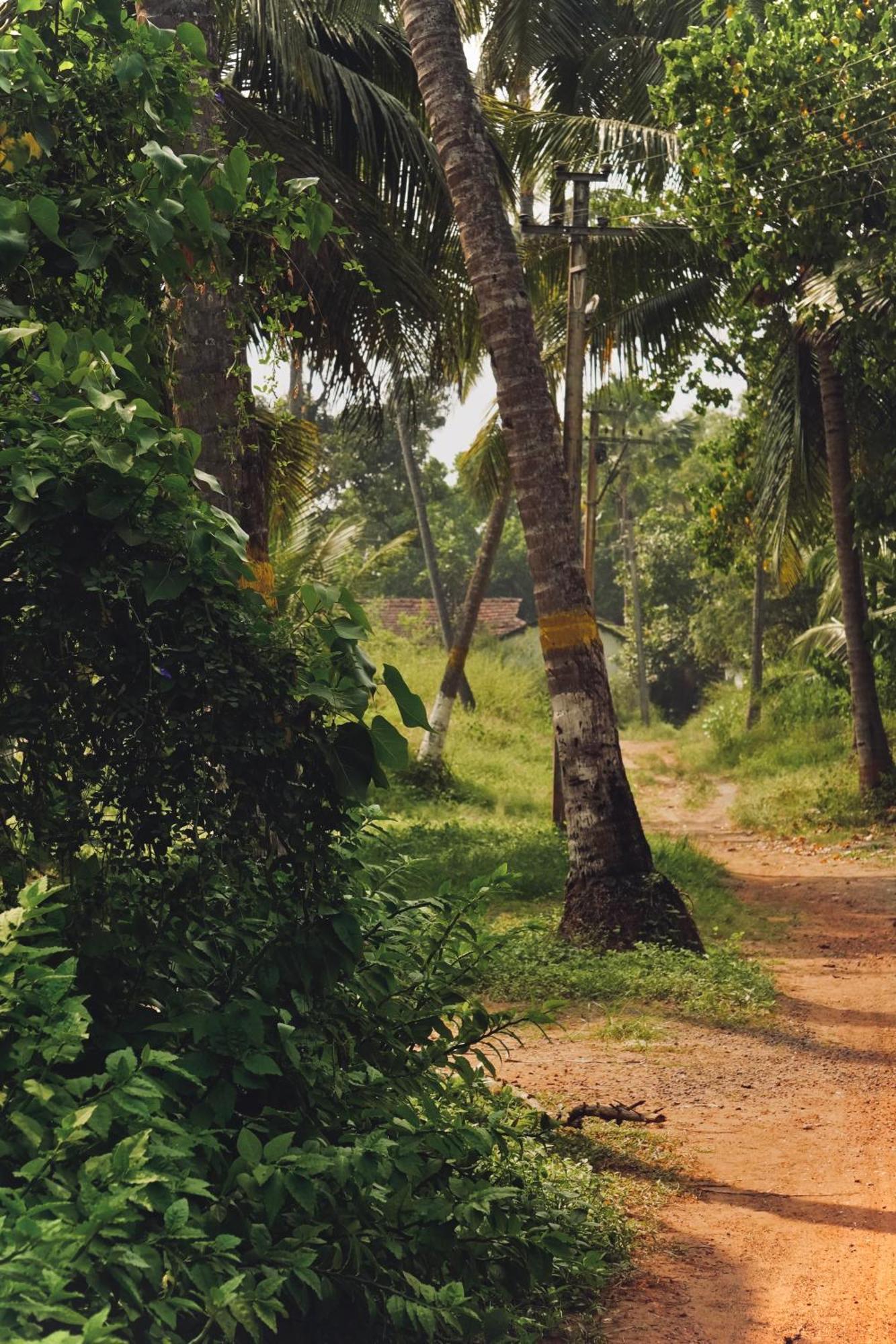 Villa Coco Goa Candolim